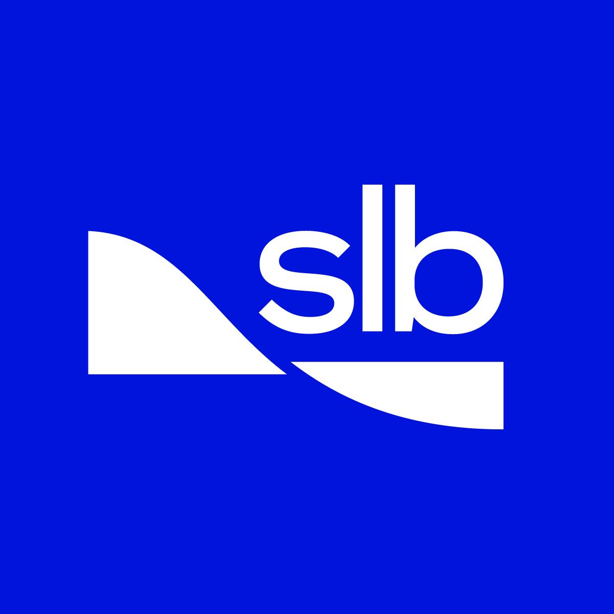 SLB Egypt Functions Internship